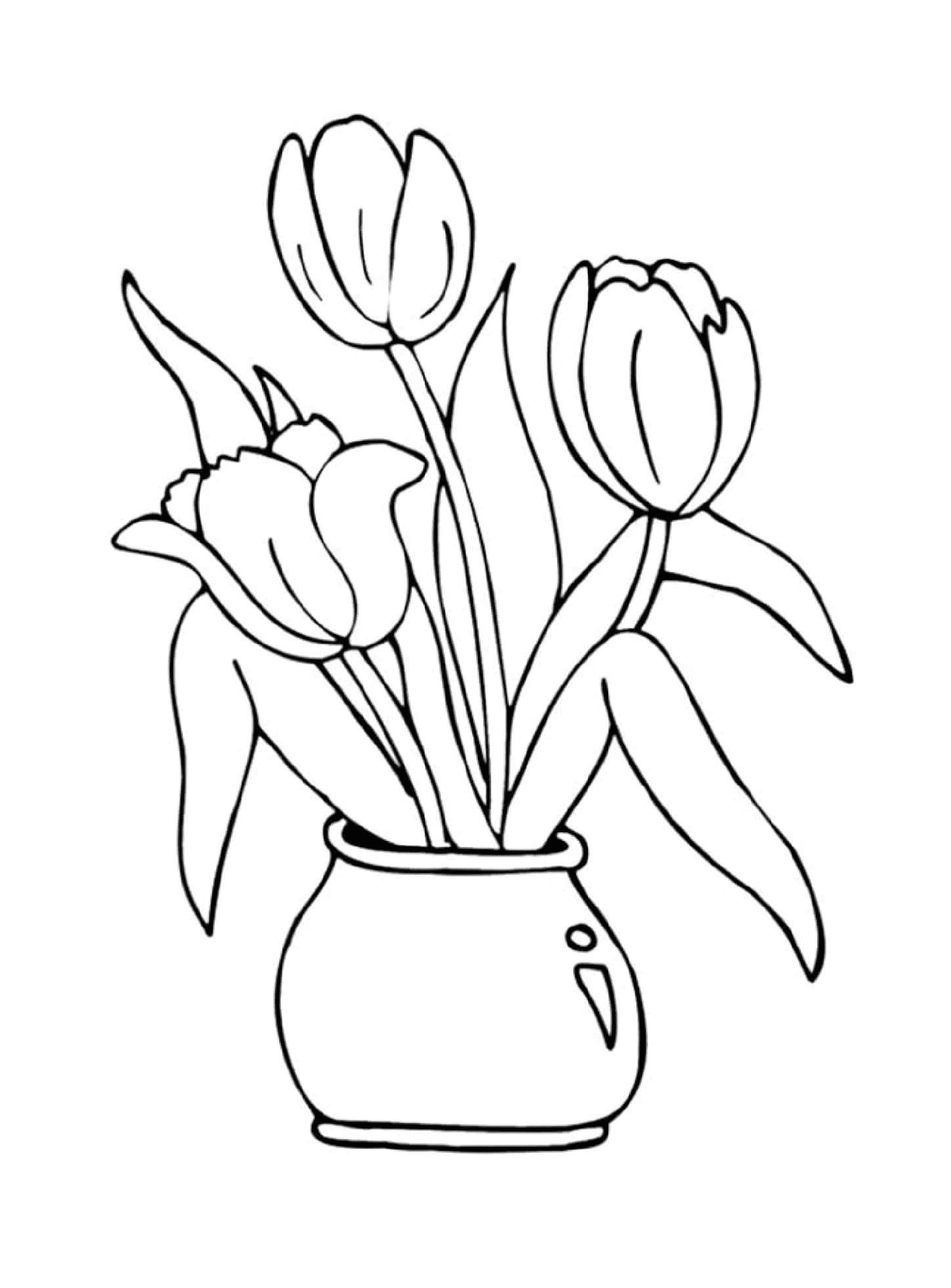  Tulipa em vaso 