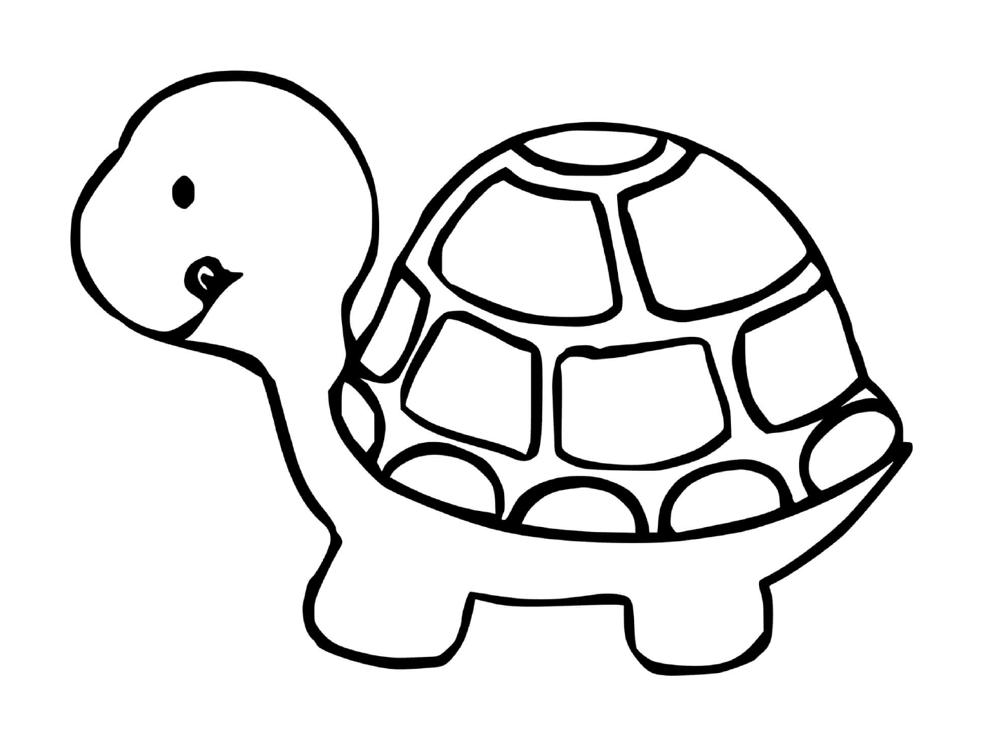  Perfil da tartaruga 