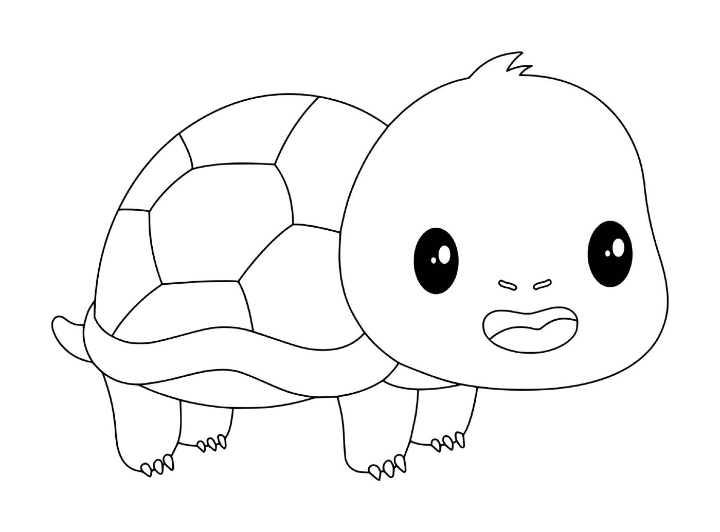  Tartaruga bebê kawaii 