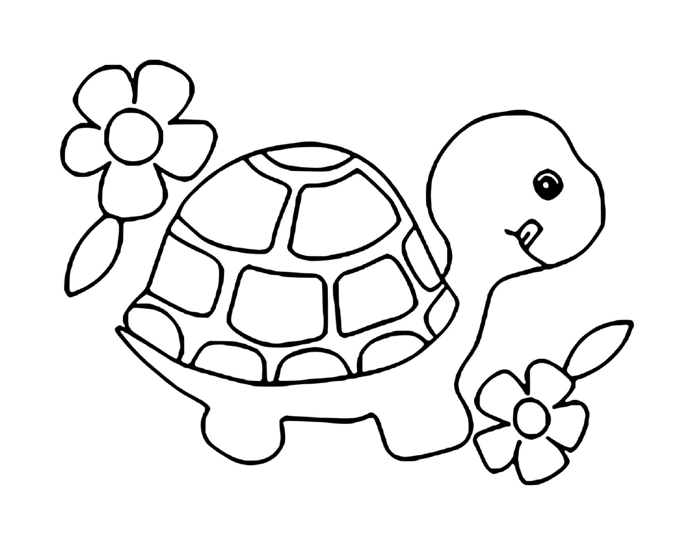  Tartaruga bebê com flores 