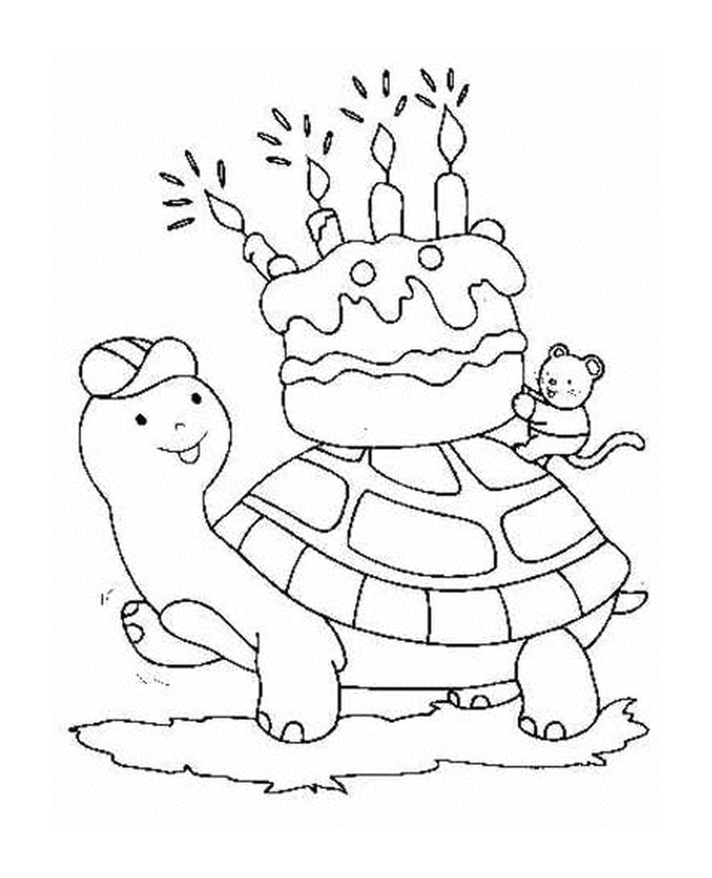 Tartarugas usam um bolo de aniversário 
