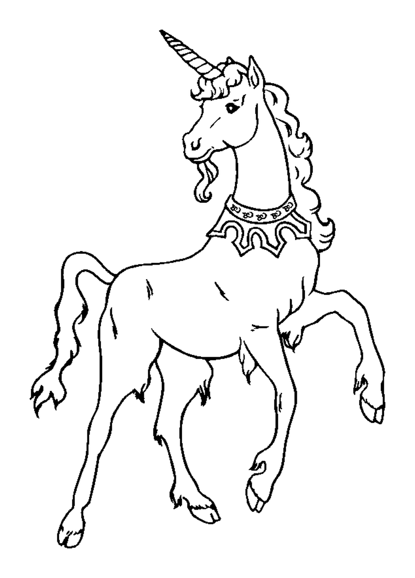  Cavalo nobre e elegante 