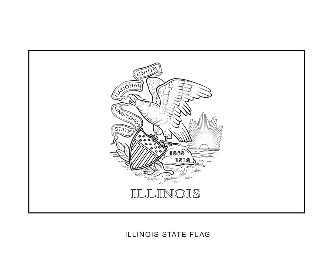  Bandeira do estado de Illinois 