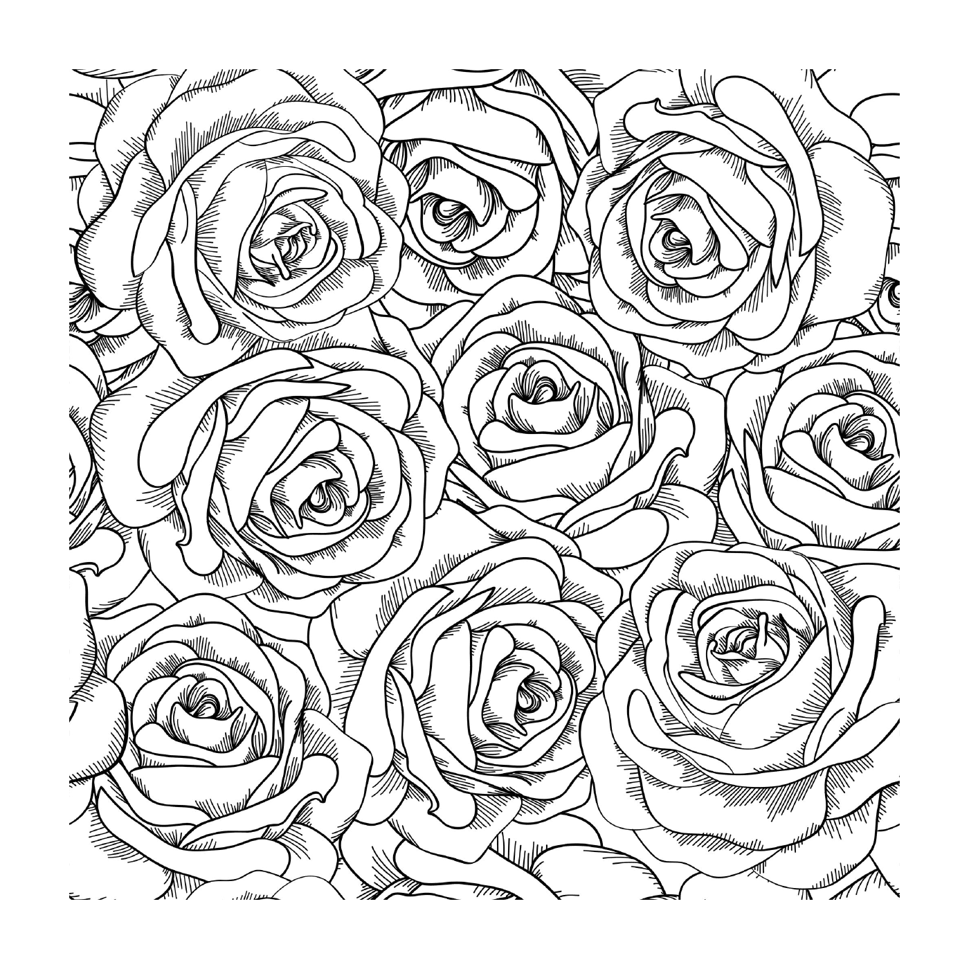  Rosas Doodle, amor colorido 