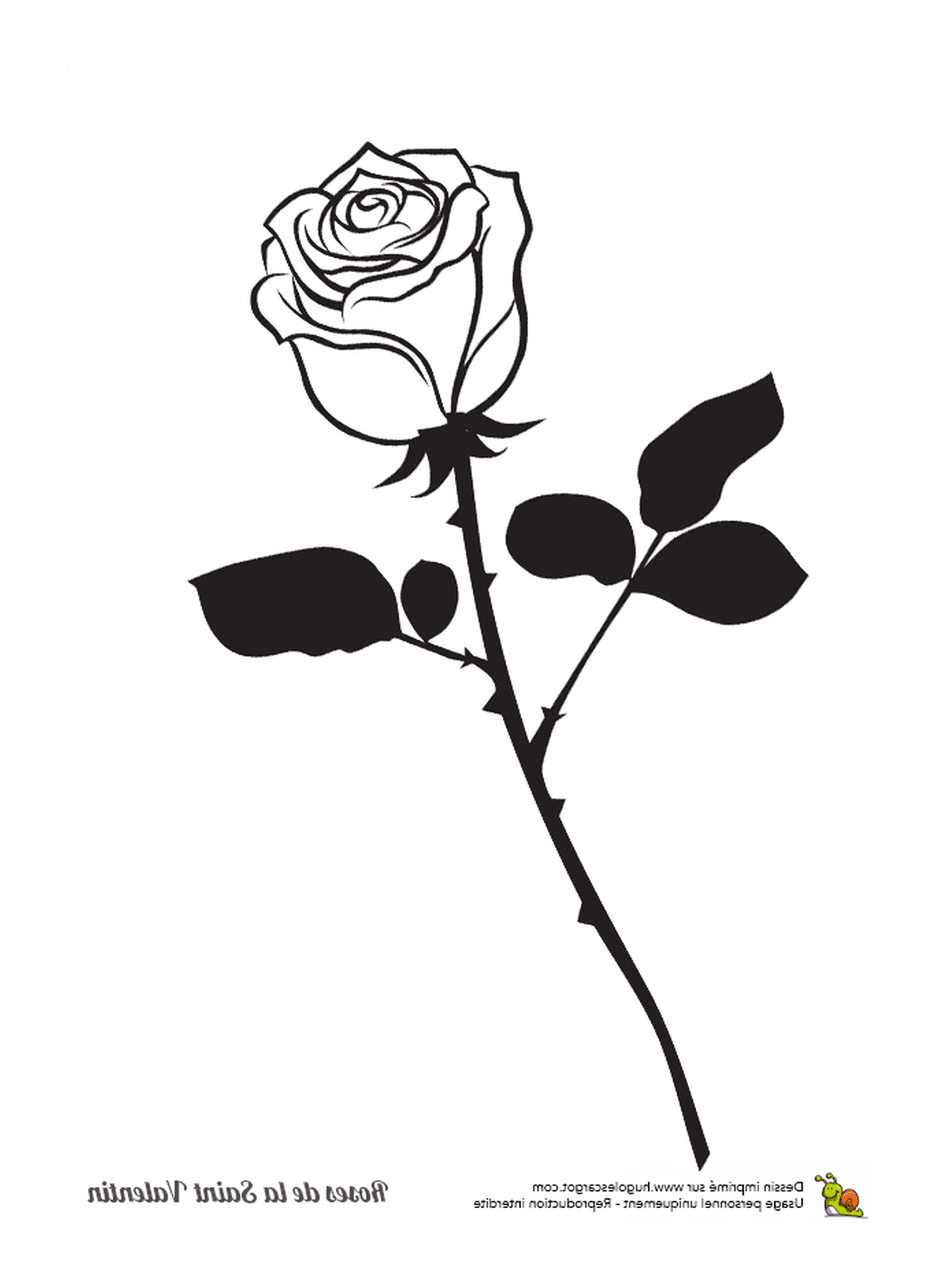  Uma rosa sozinha 