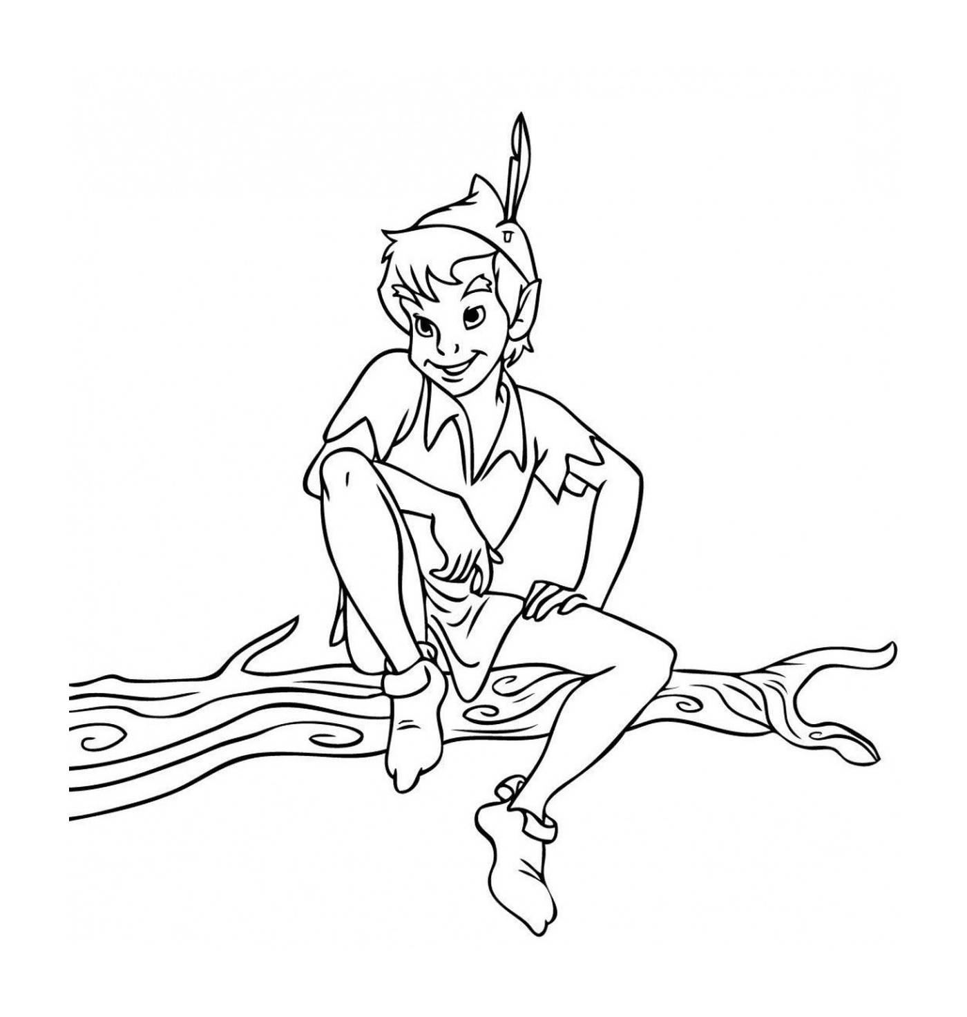  Um adulto de Peter Pan sentado em um galho de árvore 