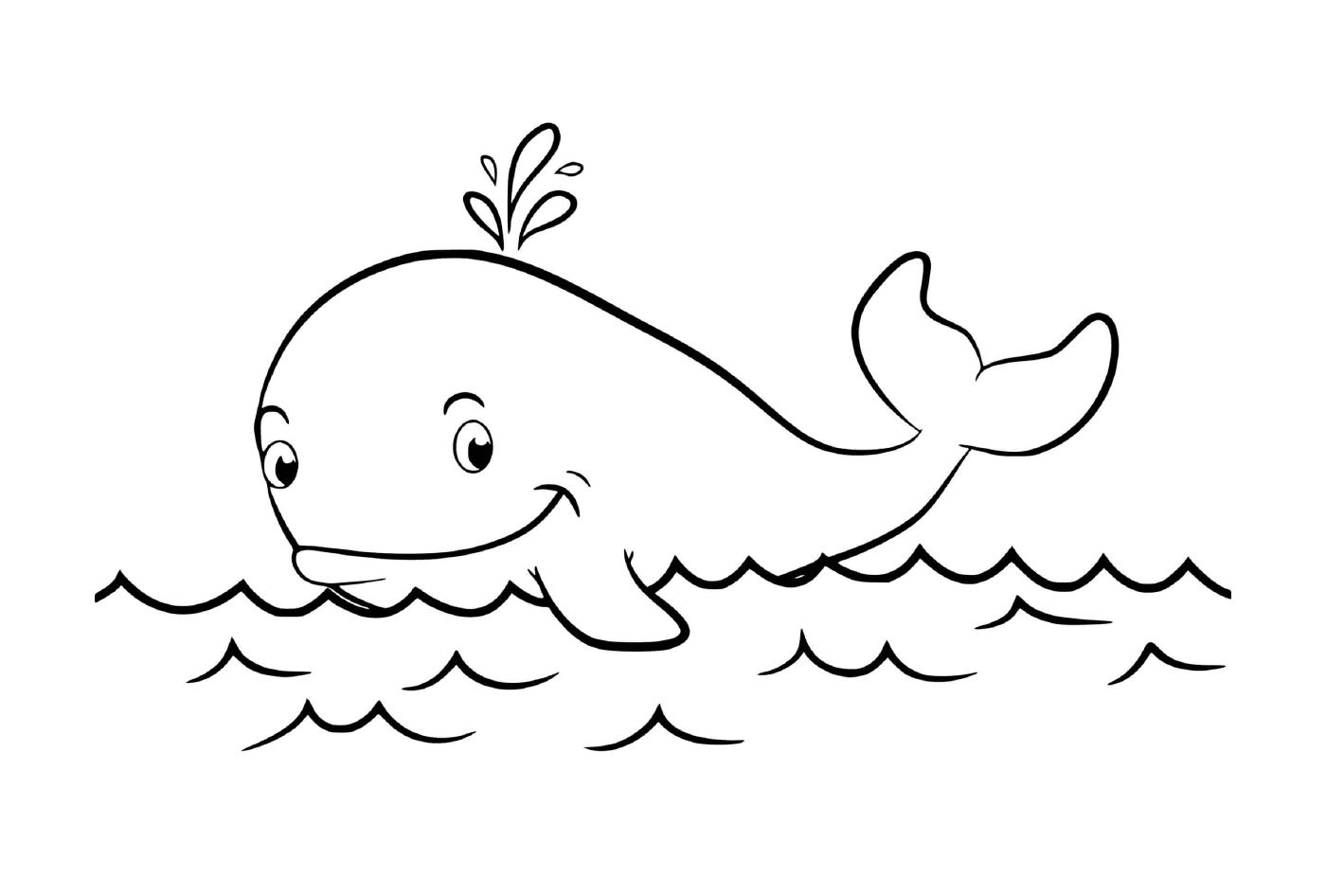  水中的鲸鱼 