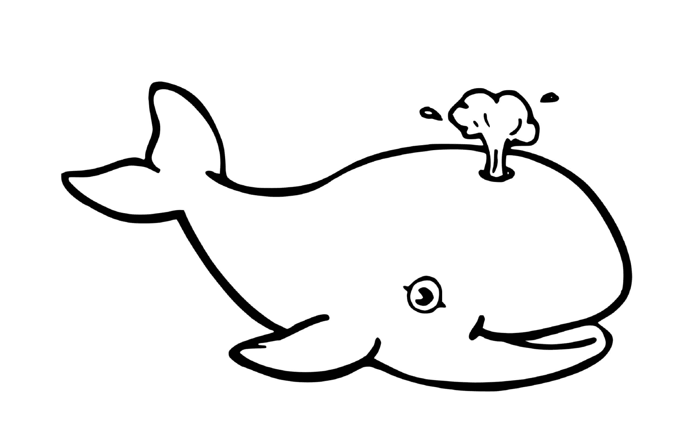  鲸鱼和蘑菇 