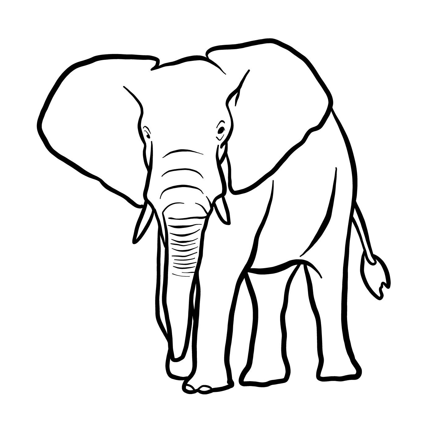  Um elefante com presas 