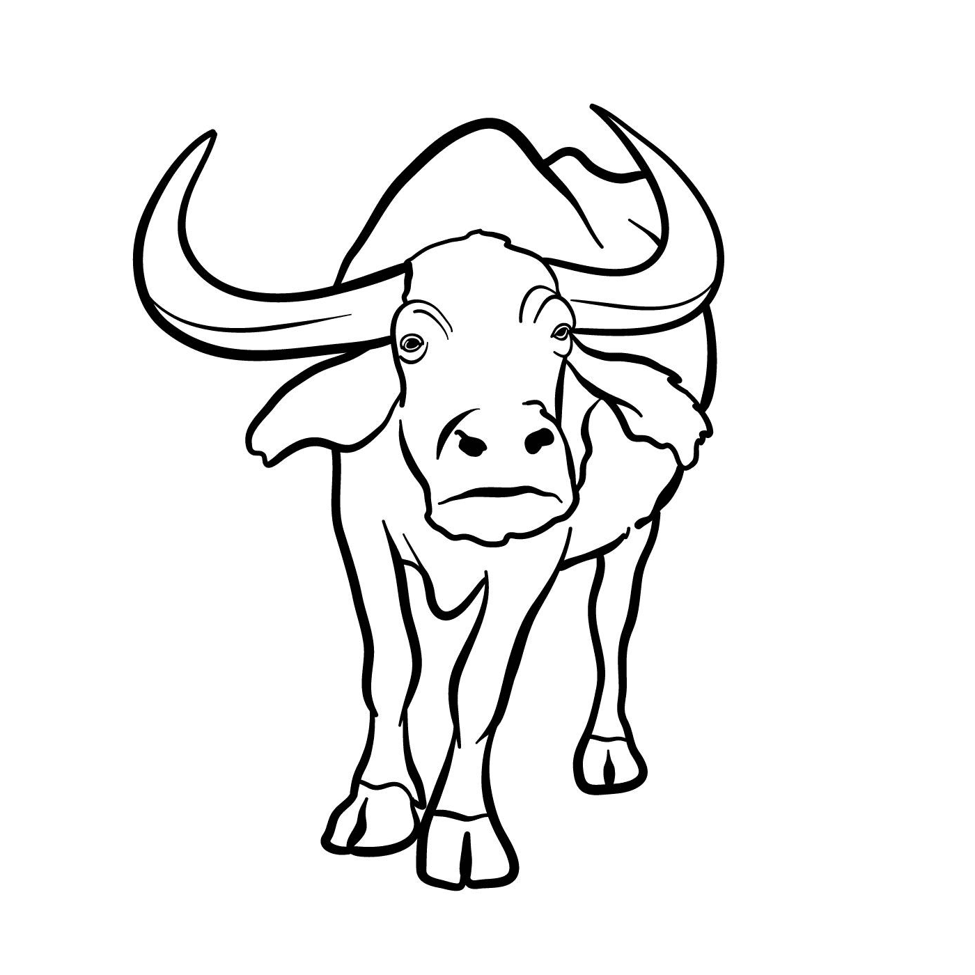  Um touro com chifres 
