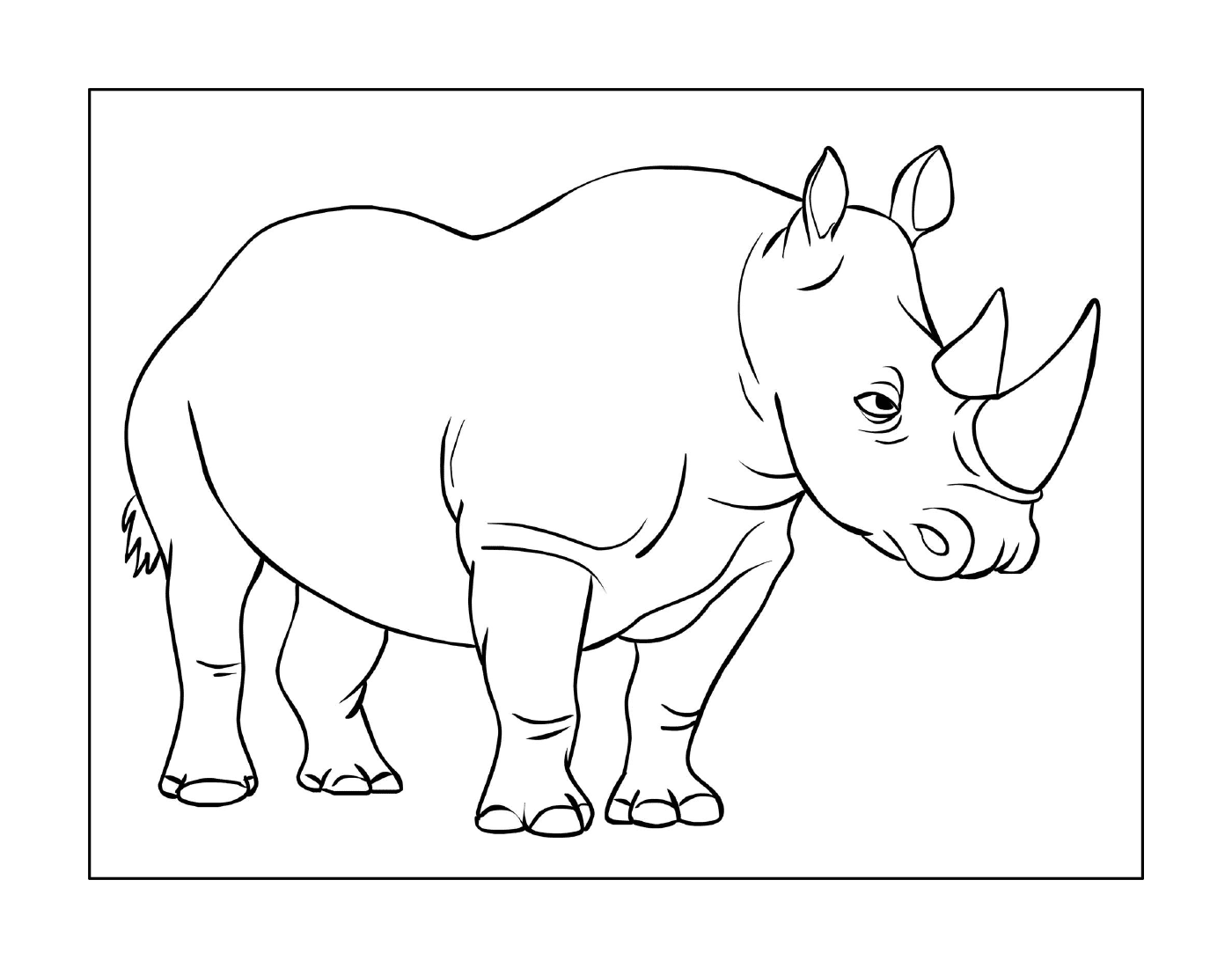  Um rinoceronte 