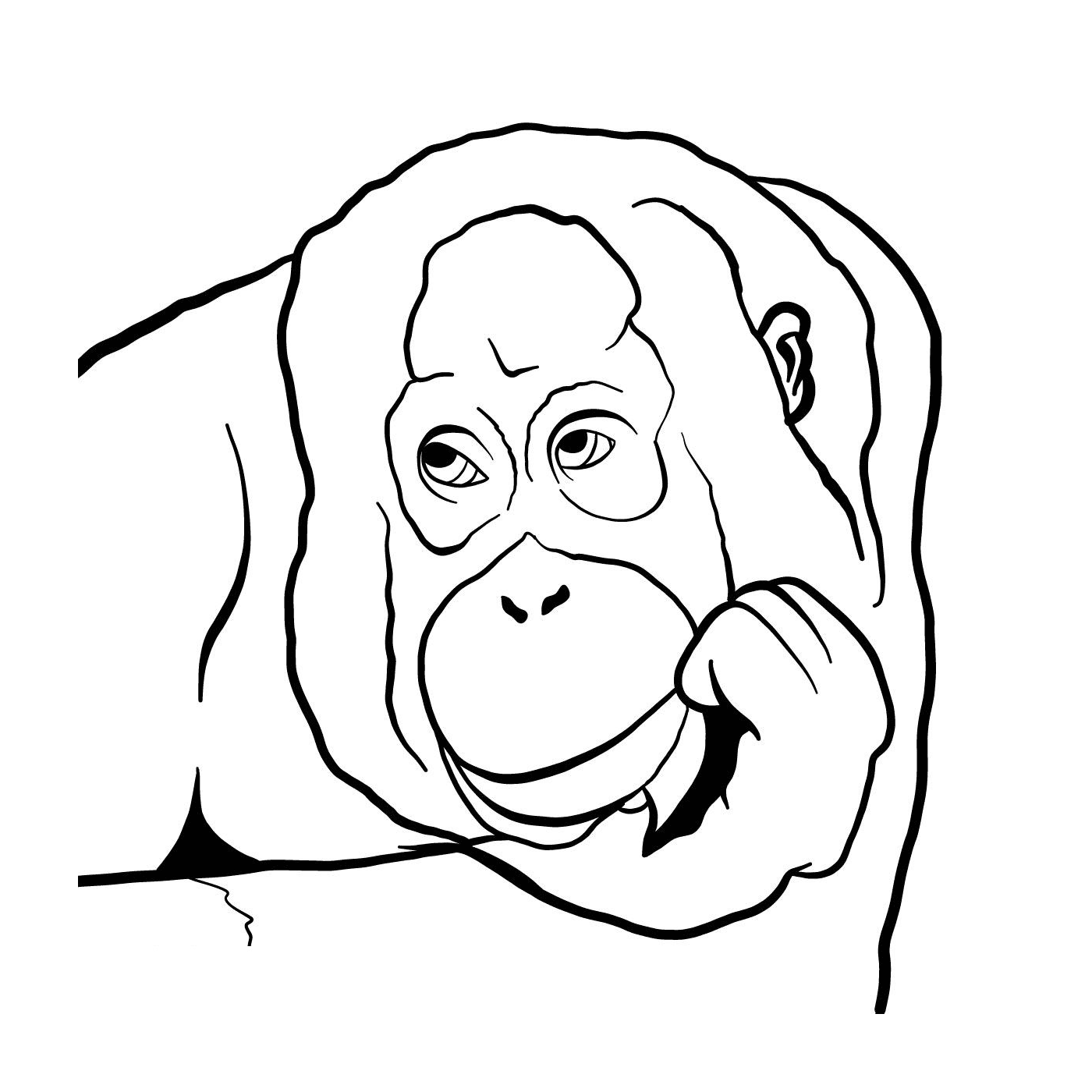  Um gorila 