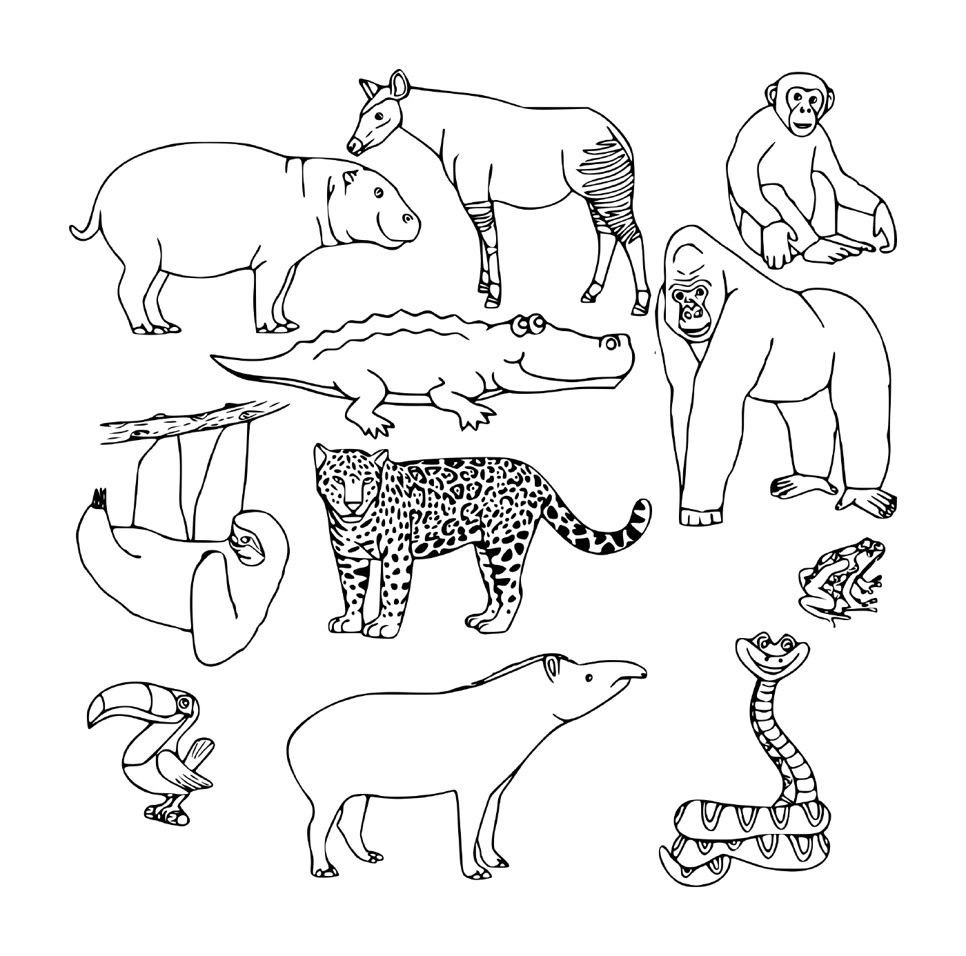  Um grupo de animais selvagens 