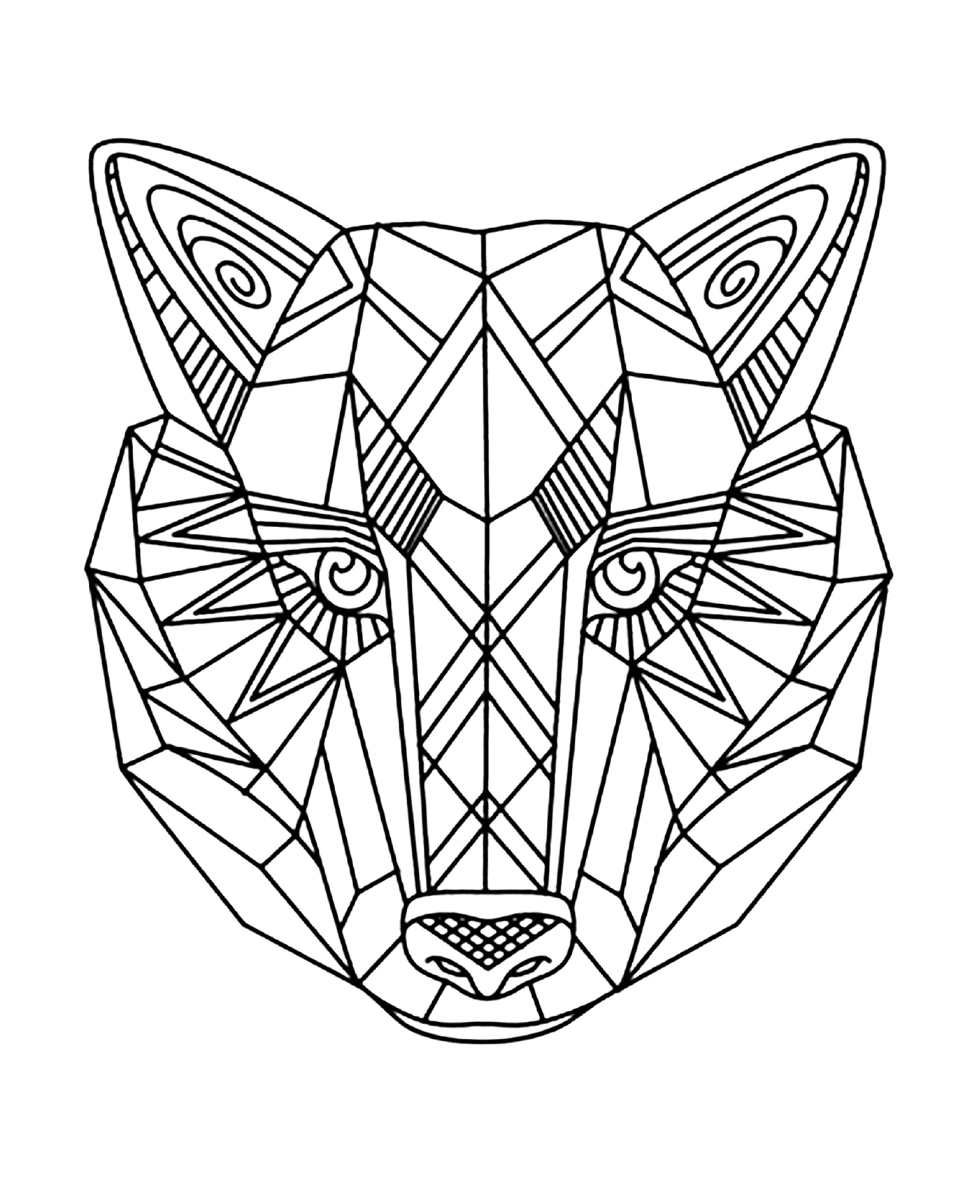  Animal com um padrão geométrico no rosto 