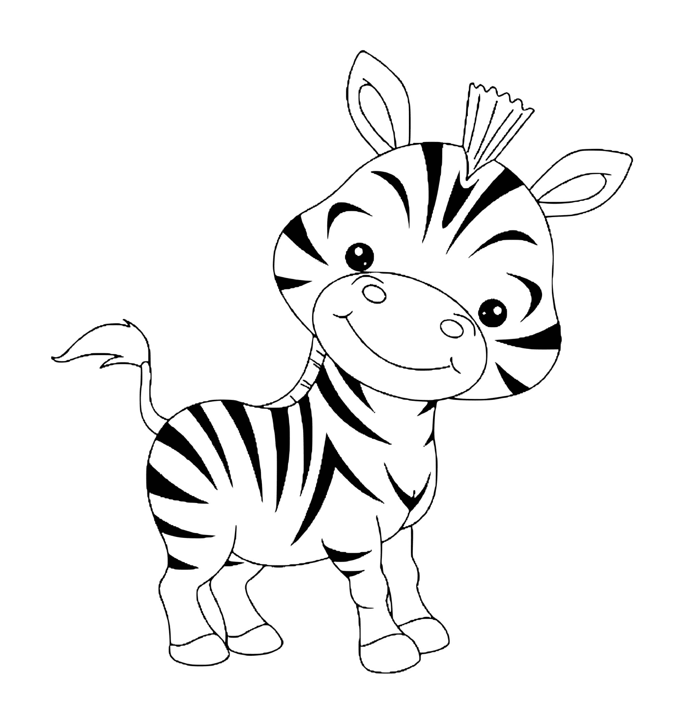  bebê zebra bonito animal 
