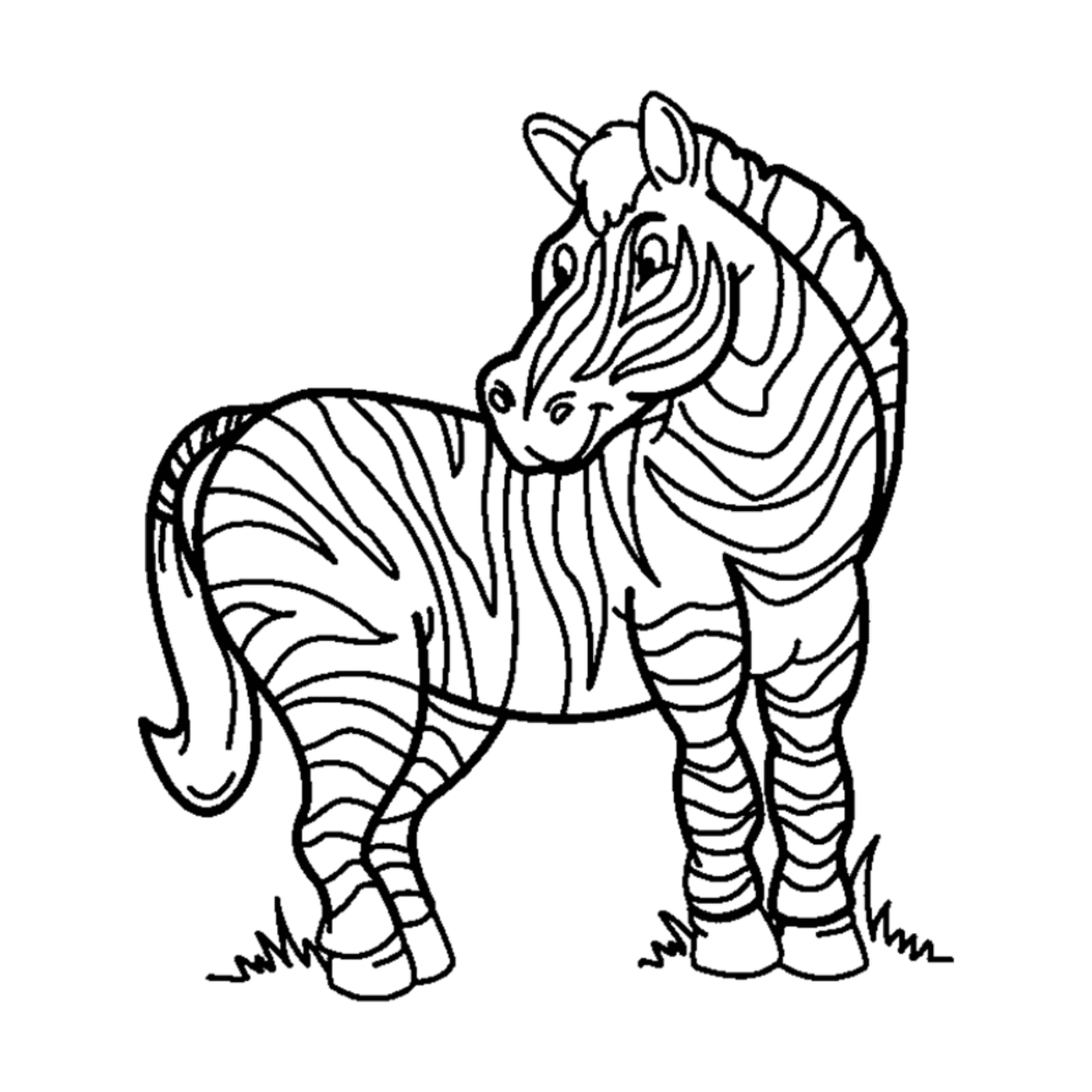  zebra solitária e orgulhosa 