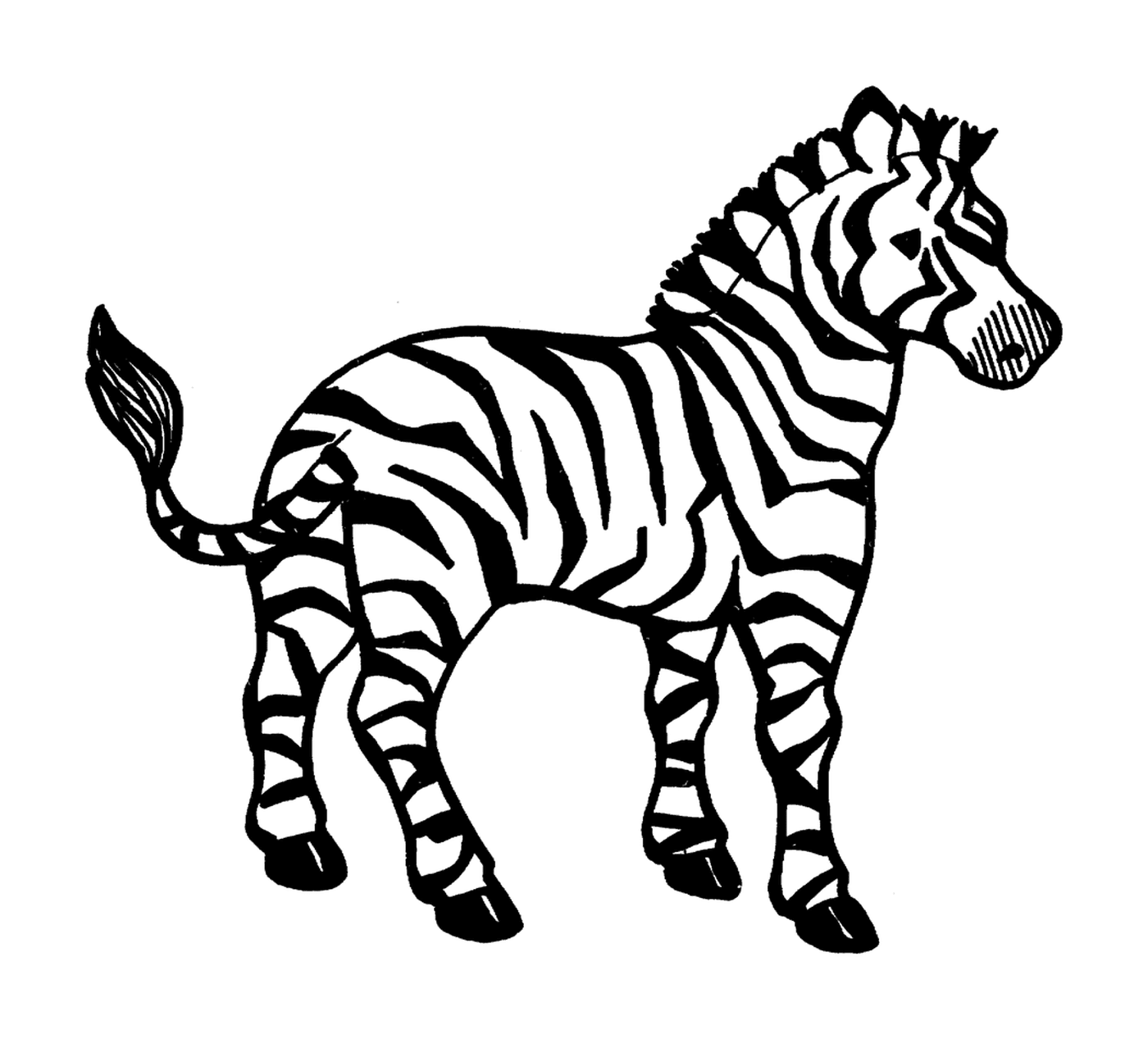  Plano 1: Zebra em ação 