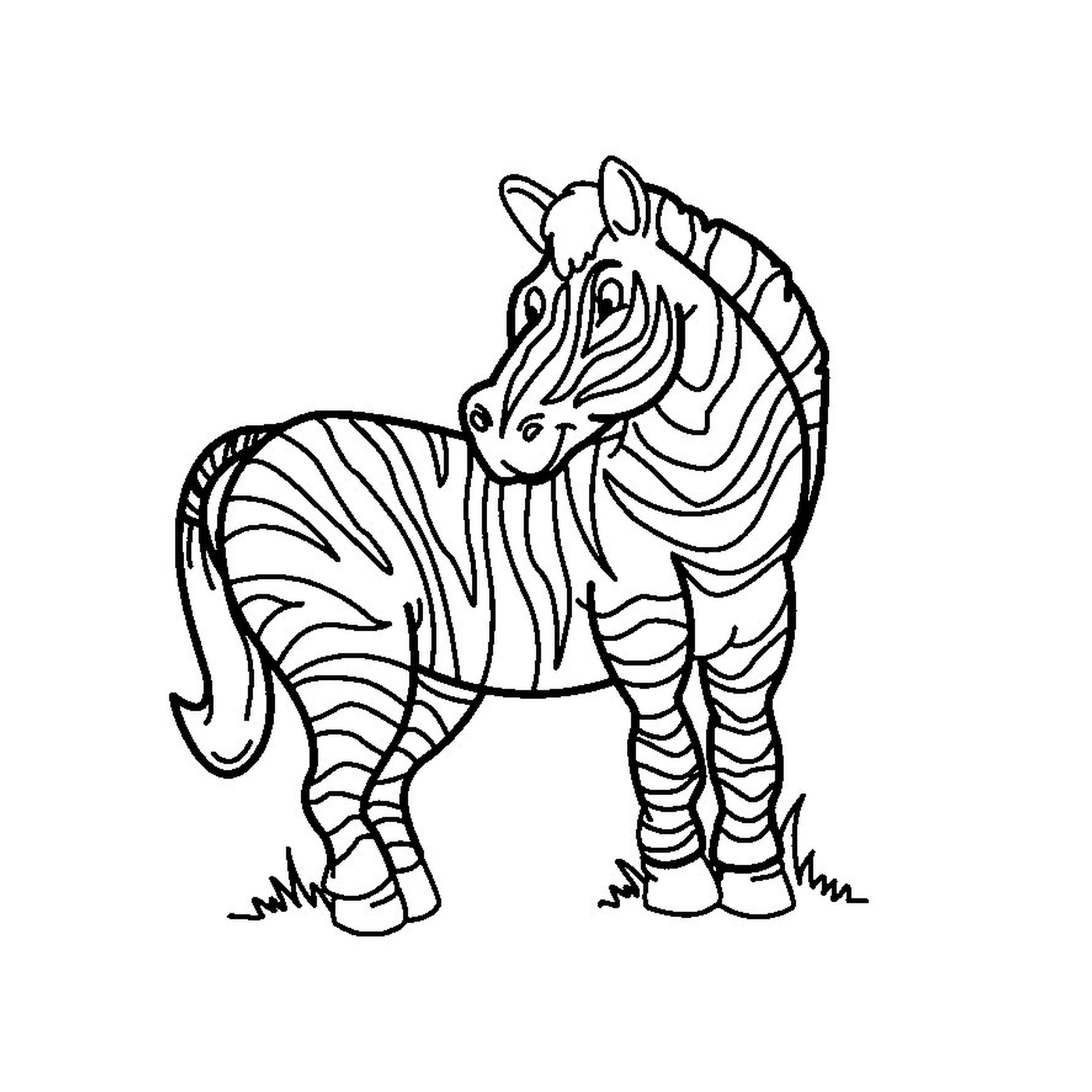  Bela zebra na savana 