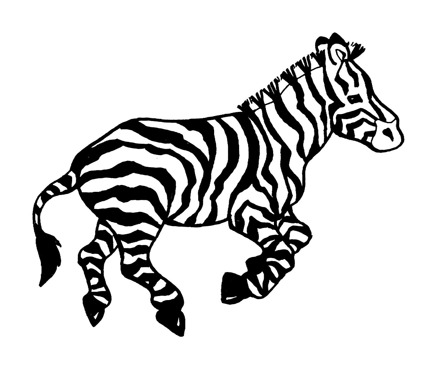  Elegante e majestosa Zebra 