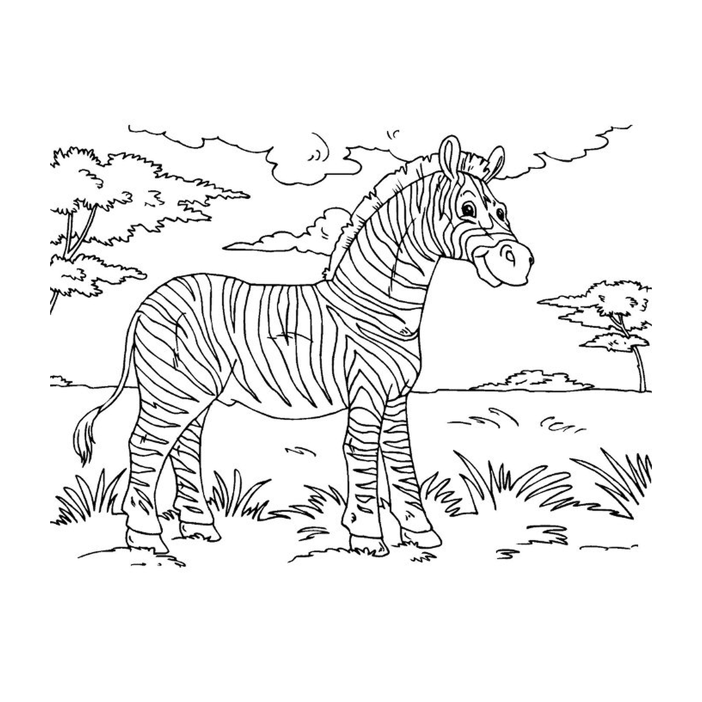  Zebra pacífica na natureza 