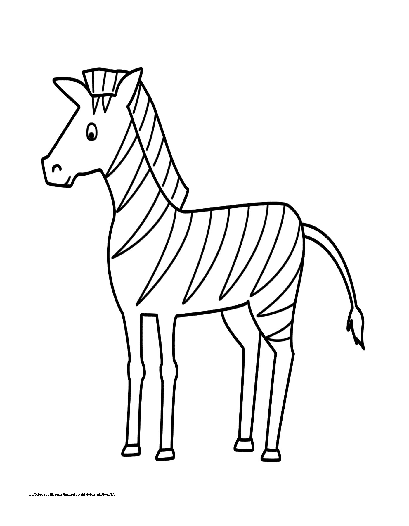  zebra gananciosa e tranquila 
