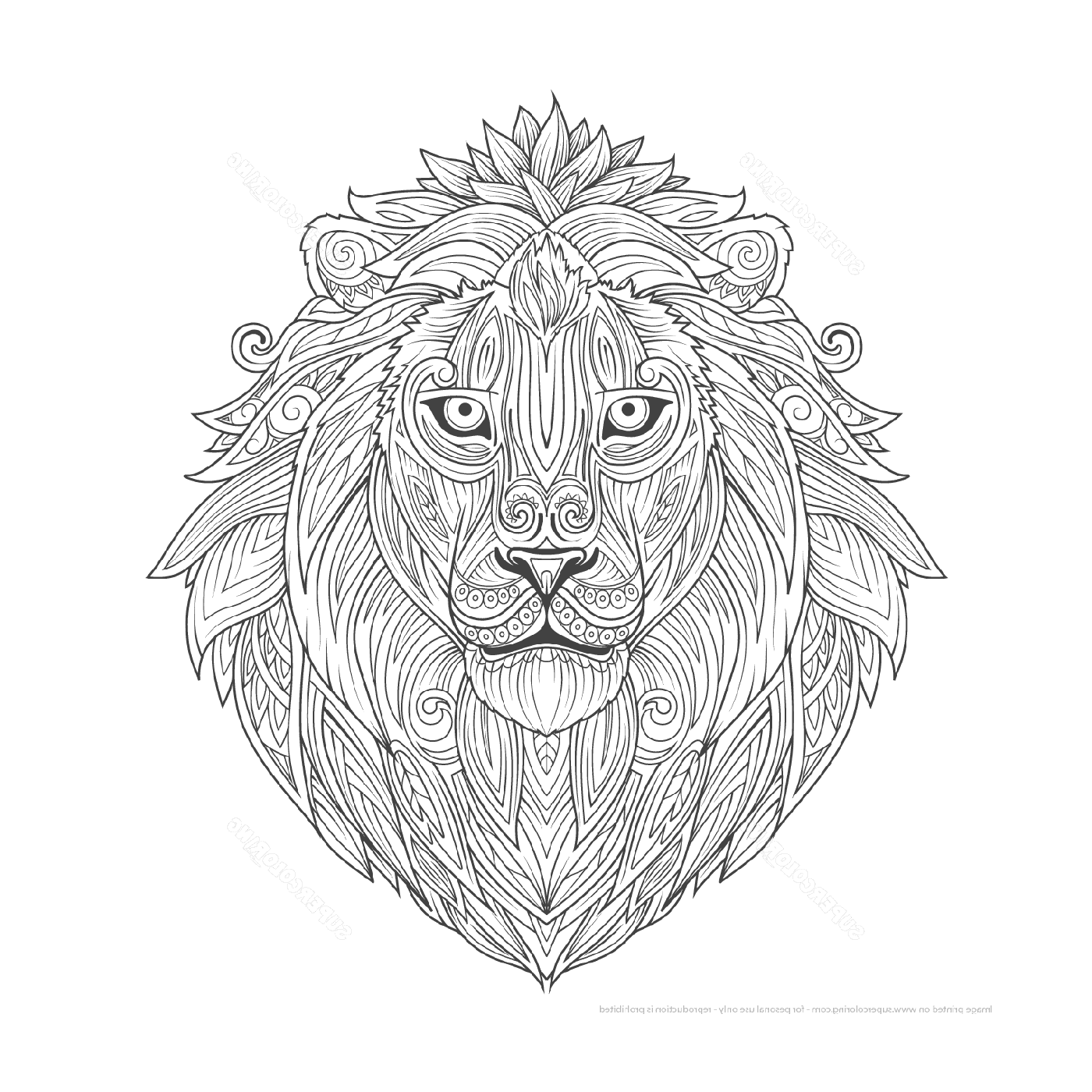  Cabeça de leão estilizada 