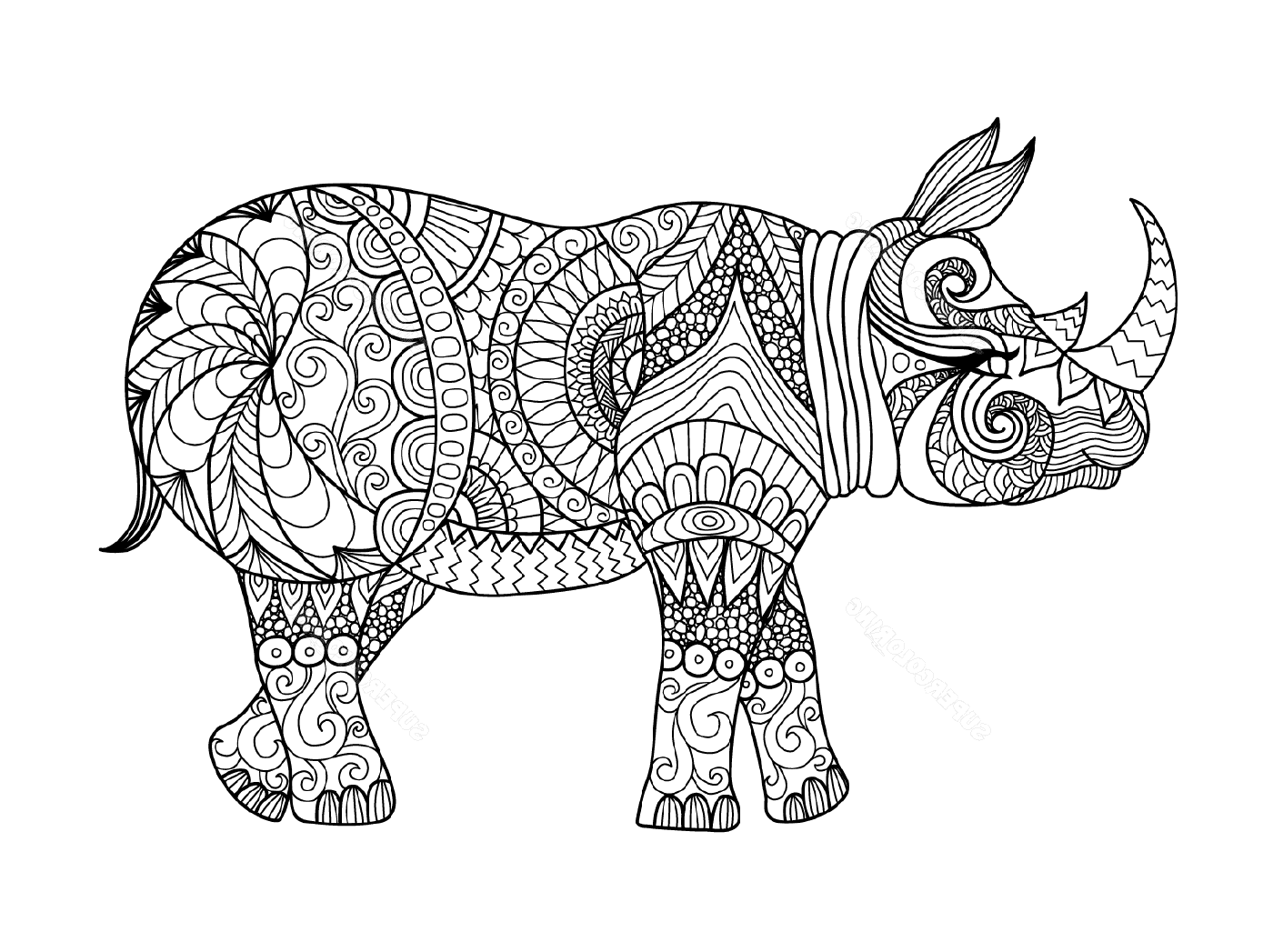  hipopótamo adulto 