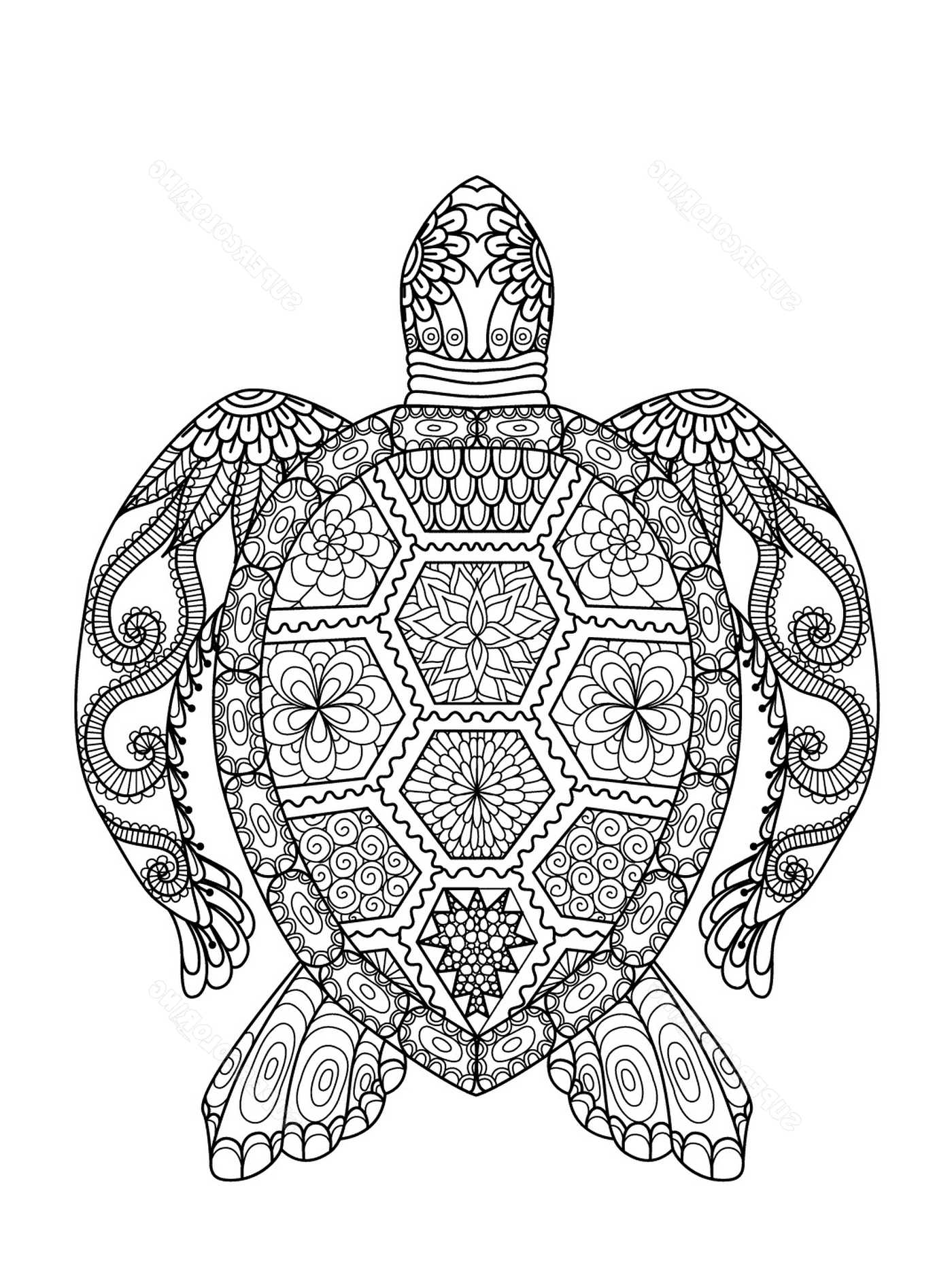  Tartaruga marinha com padrões elaborados 
